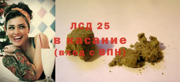 индика Арсеньев
