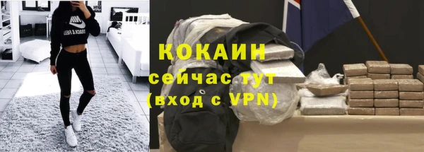 индика Арсеньев