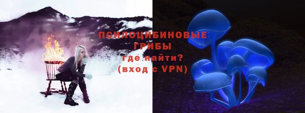 индика Арсеньев