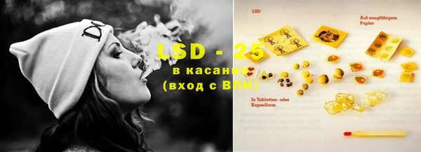 индика Арсеньев