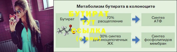 индика Арсеньев