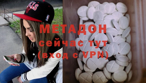 индика Арсеньев