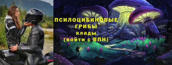 бошки Армянск