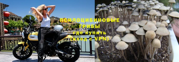 бошки Армянск