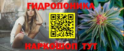прущие крисы Апшеронск