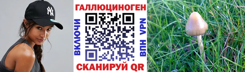 Галлюциногенные грибы мухоморы Асбест