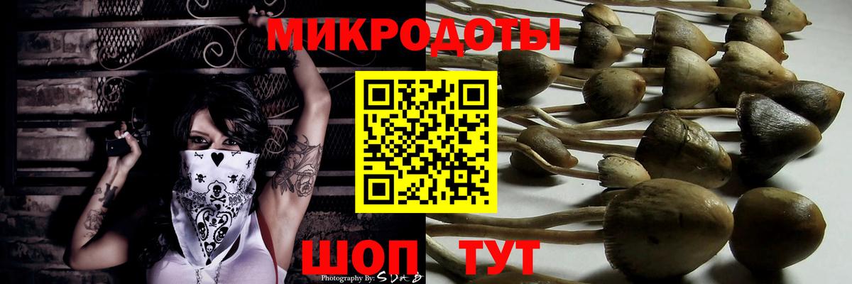 купить  цена  Галлюциногенные грибы Psilocybine cubensis  Вход с VPN  Галлюциногенные грибы Psilocybe  Асбест 